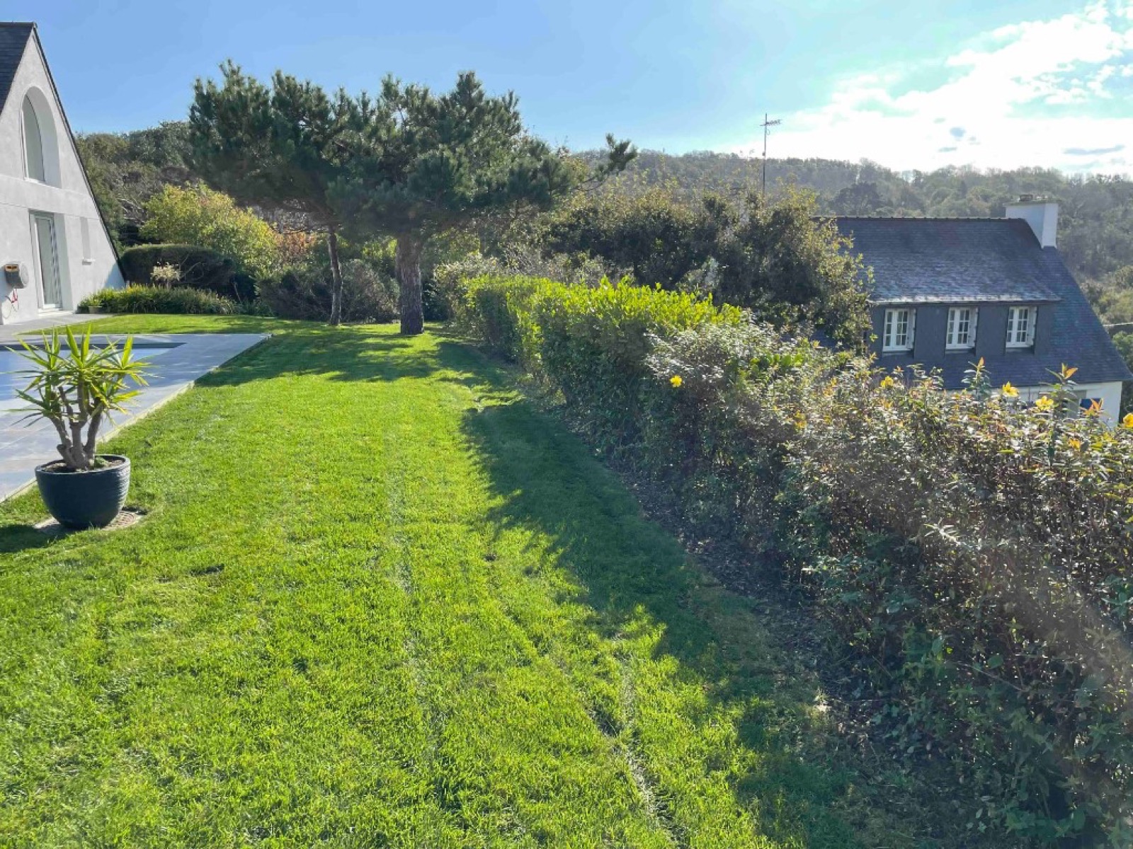 Entretien de pelouse