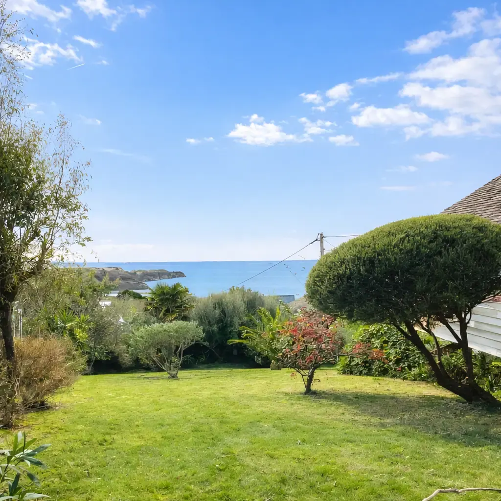 Entretien de jardin après