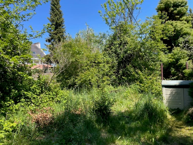 Terrain non entretenu avant